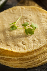 Stack of Homemade Corn Tortillas