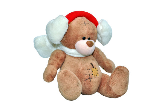 Teddy bear with scarf