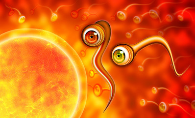 Fecundation moment, cartoon sperm and egg cel