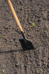 toil work of ground. spade insert soil