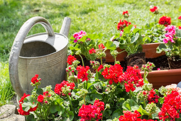 Blumenkästen mit Gießkanne © tibanna79