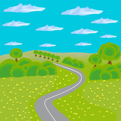 Fototapeta premium landscape with road through field and forest