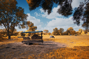 Park of Pateira de Fermentelos