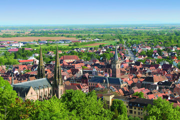 obernai vue panoramique toitures touristique alsace