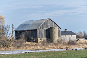 Obraz premium Barn