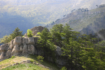 Fototapeta na wymiar Crimean mountain landscape