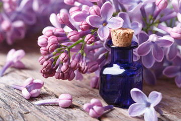 Tincture of aromatic lilac flowers close-up