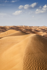 Fototapeta na wymiar Desert Wahiba Oman