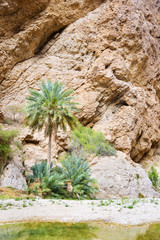 Wadi Shab Oman