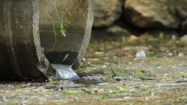 Sewage pipe polluting the river