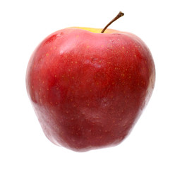 Plakat Ripe red apple isolated on the white background.
