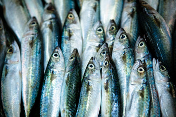 Pile of Fish For Sale at Market