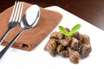 Snails