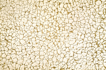 cracked painted