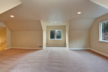Empty room with vaulted ceiling