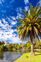 View across lake to visitors centreMelbourne Botanical Gardens
