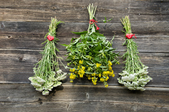 summer medical herb bunch on old wooden wall