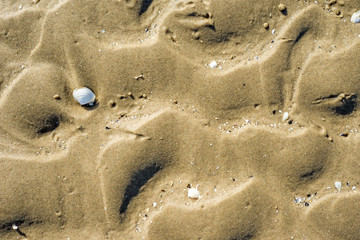Spuren am Strand