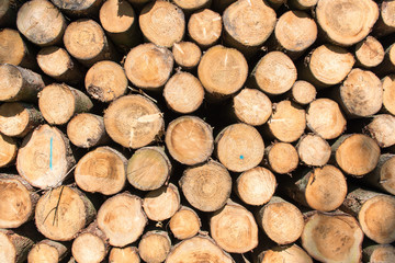 Holztextur Hintergrund