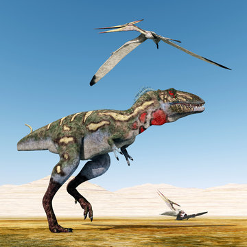 Dinosaur Nanotyrannus and Pterosaur Pteranodon