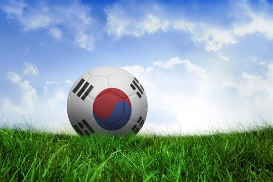 Football in south korea colours