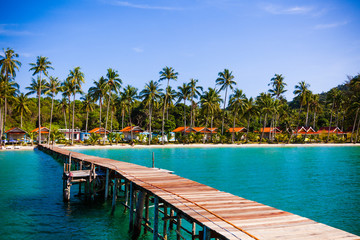 wooden walkway