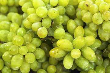 Fresh grapes on the market