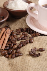 Robusta Coffee Beans on Goni Sack