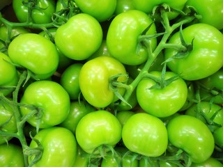 Tomates vertes