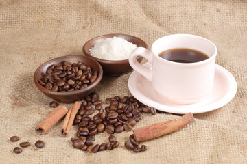 Robusta Coffee Beans on Goni Sack