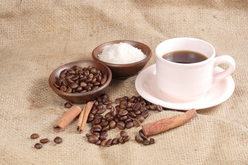 Robusta Coffee Beans on Goni Sack