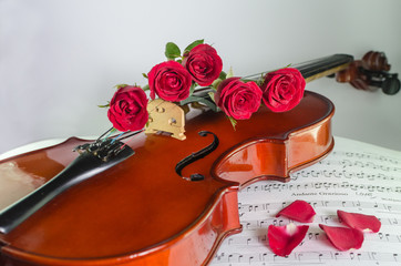 Fototapeta premium Closeup photo of violin and roses