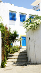 Fototapeta na wymiar Vista de una calle en Sidi Bou Said, Túnez