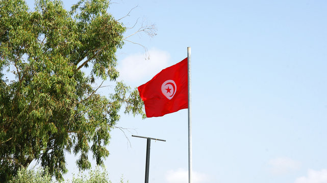Bandera de la rep&uacute;blica de T&uacute;nez, Norte de &Aacute;frica