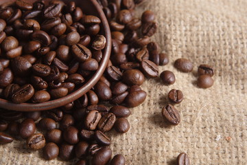 Robusta Coffee Beans on Goni Sack