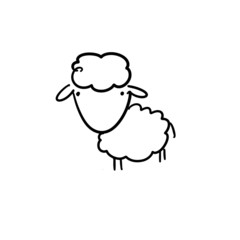 Cute sheep