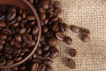 Robusta Coffee Beans on Goni Sack