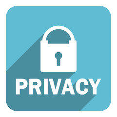 privacy flat icon