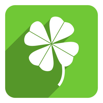 four leaf clover flat icon