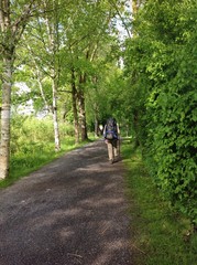 pilgrim, Camino de Santiago