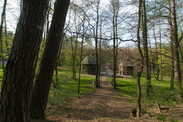 Leśna polana, stare drewniane kapliczki © Piotr Szpakowski