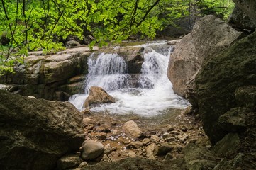 Forest waterfall in summer day