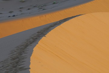 Licht und Schatten in der Wüste (Sossusvlei)
