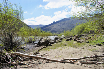 Fototapeta na wymiar Río Aluminé, Neuquén, Patagonia