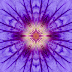 Purple Concentric Flower Center Mandala Kaleidoscopic design
