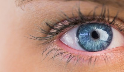 Close up of female blue eye - obrazy, fototapety, plakaty