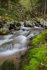 Obraz premium 真瀬渓谷