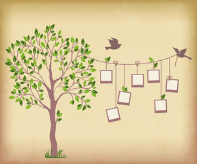 Obraz premium Tree and photos