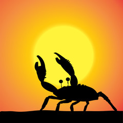 Vector silhouette of the crab.