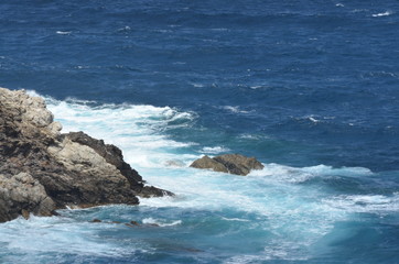 asinara island, sardinia, italy
